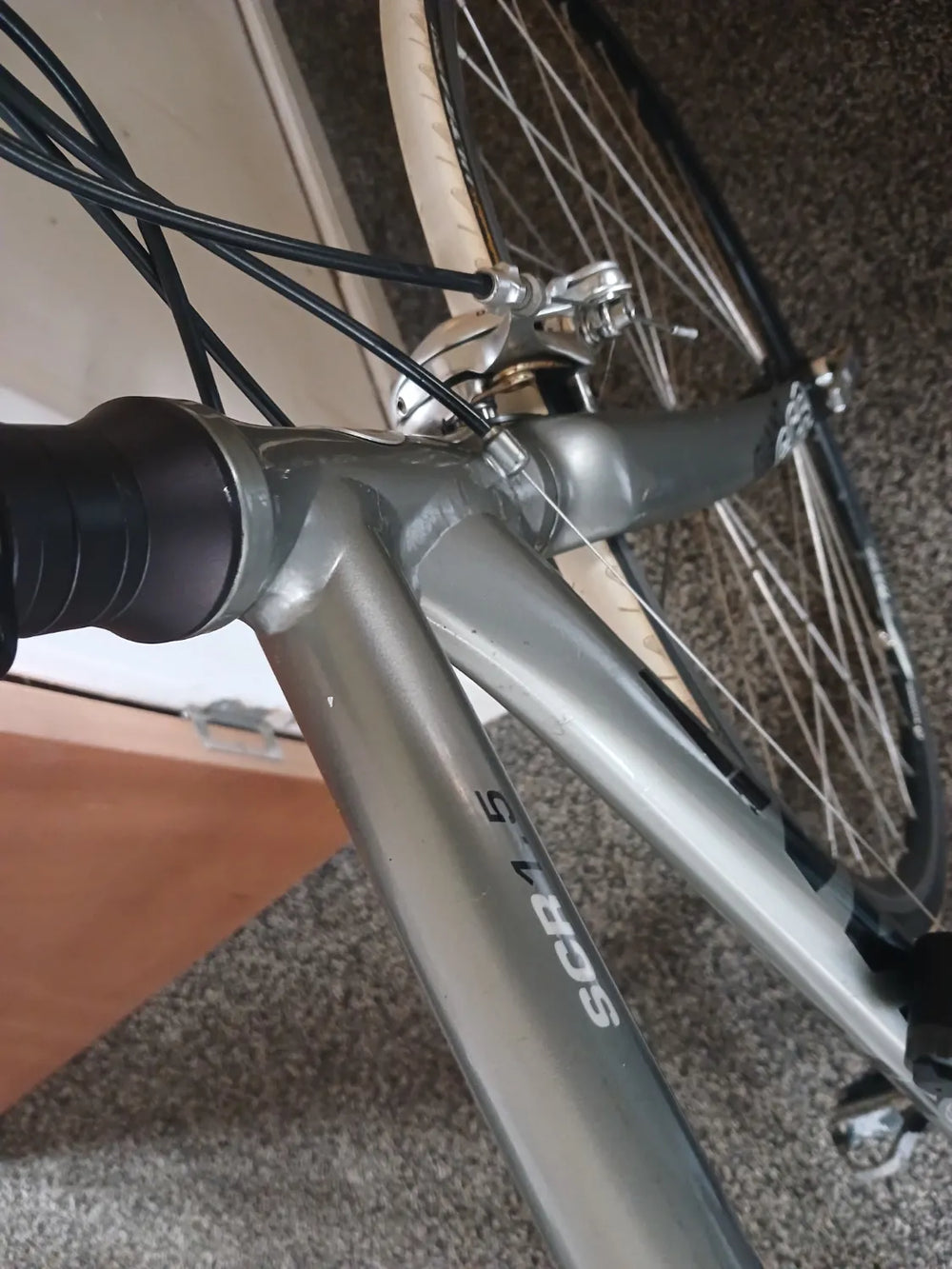 Giant Scr1.5 2020