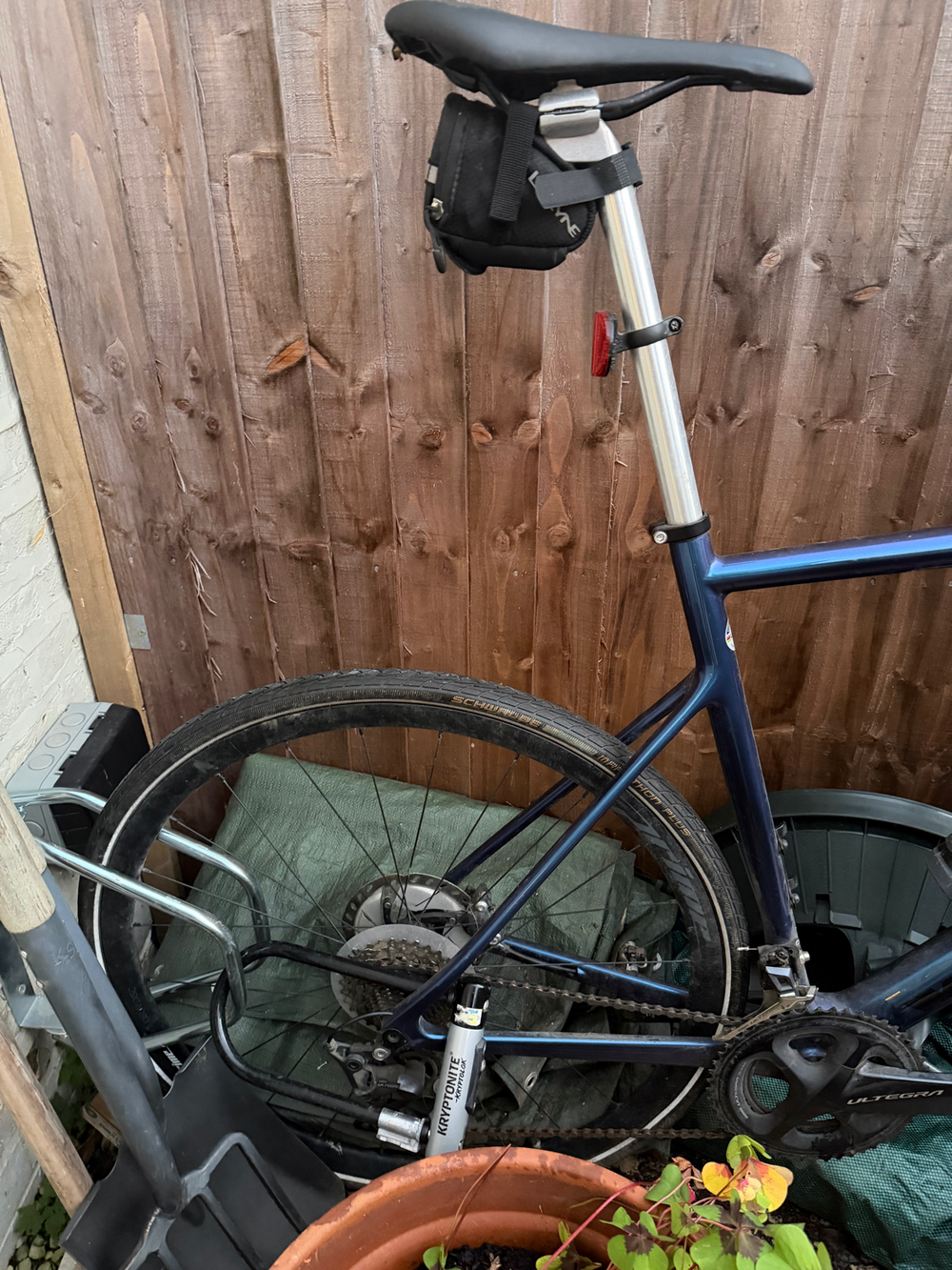 Vitus Zenium CRS Ultegra 2021 2020