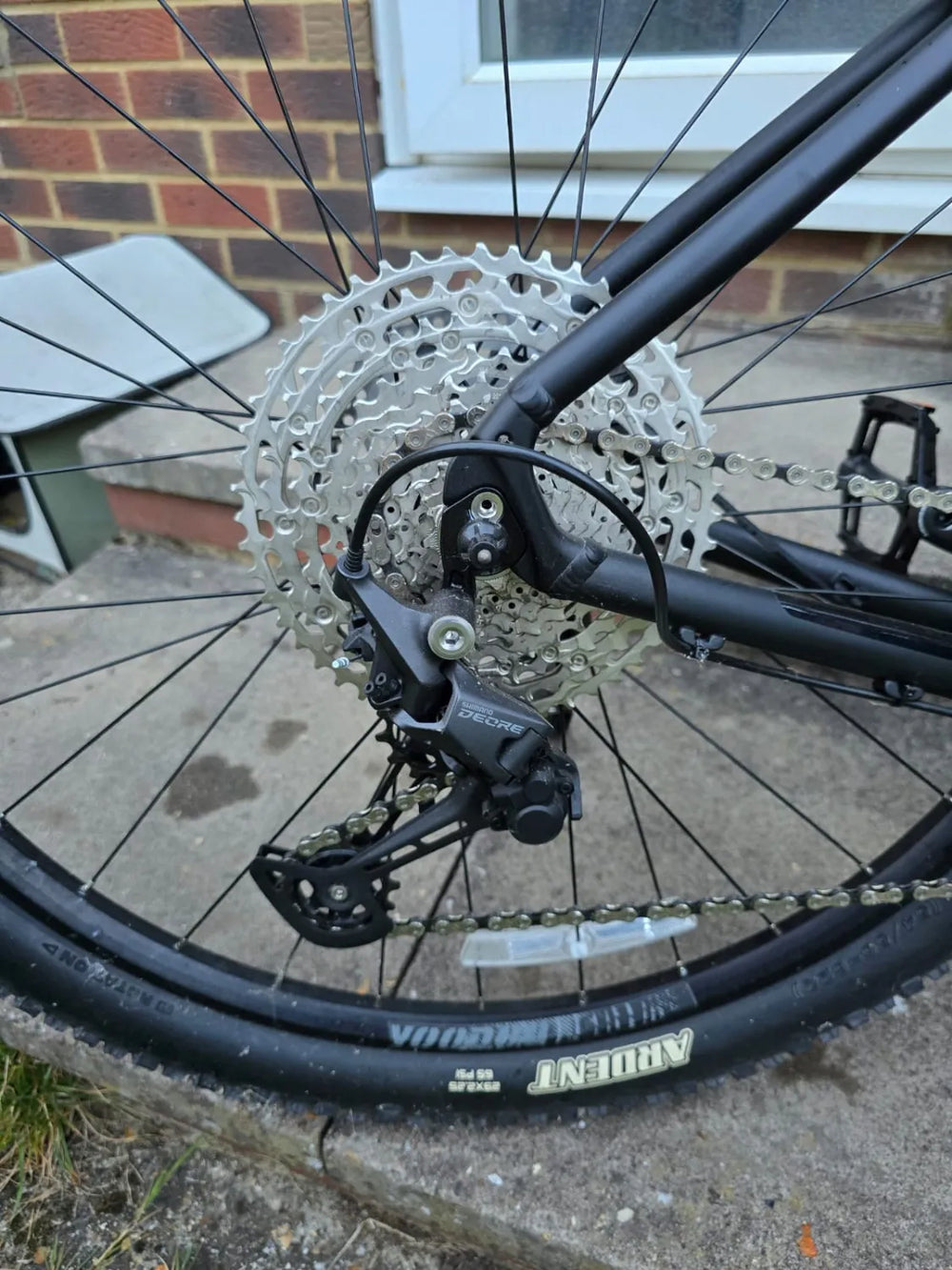 Voodoo Bizango 29 2023