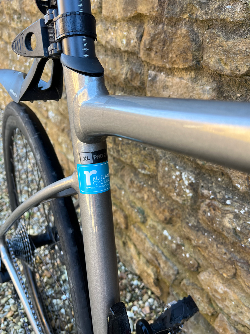 Giant E+2 Pro 2020