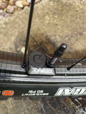 Giant Reign, Advanced Pro 0 2024
