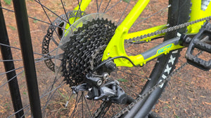 Whyte 529 Trail