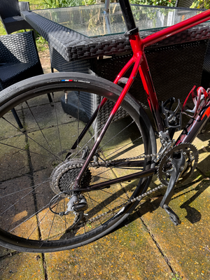 Trek Domane AL 2 Gen 4 2024