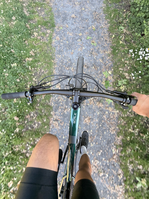 Scott Scale 935 29er 2017