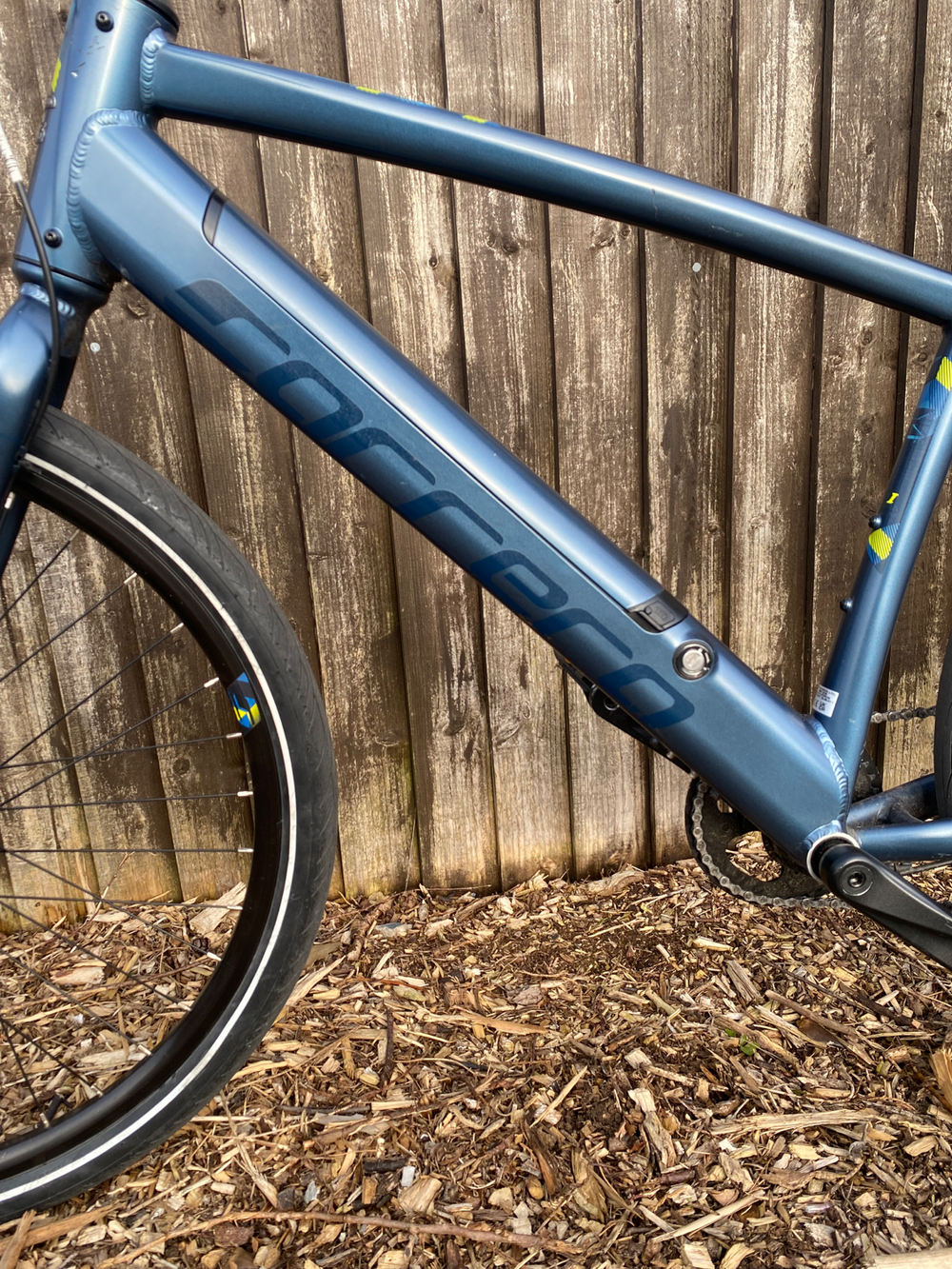Carrera impel im 2022