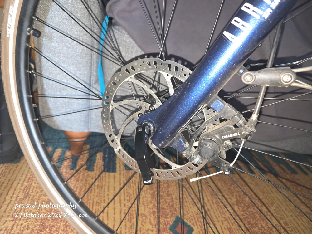 Raleigh Array hybrid  2023