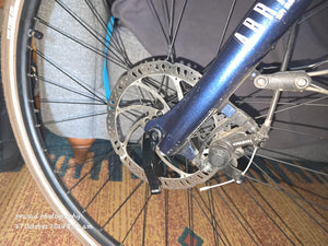 Raleigh Array hybrid  2023