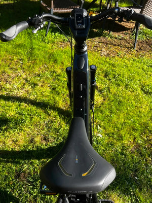 Riese and Muller Homage4 GT Rohloff 2024