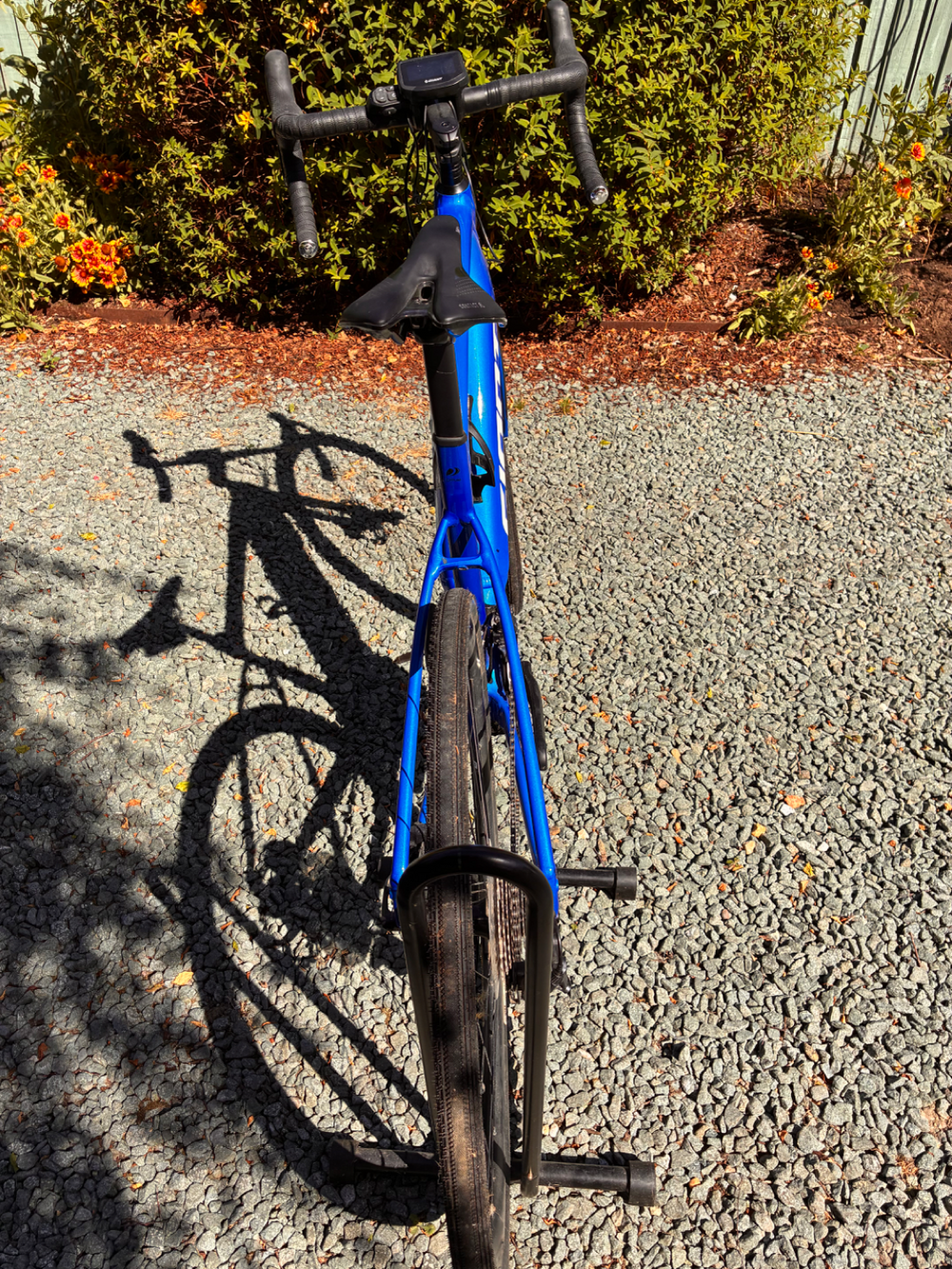 Giant Road E + 1 Pro 2020