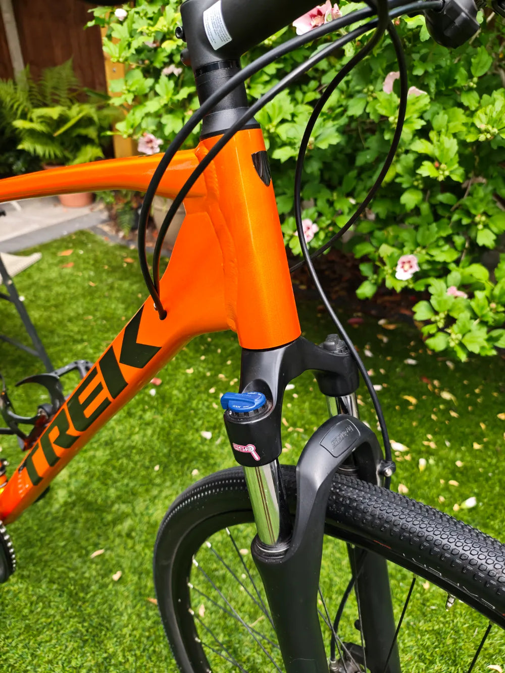 Trek Dual Sport 3 Disc 2021