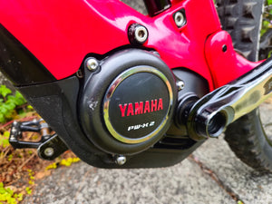 Haibike Allmtn Cf 12 2022