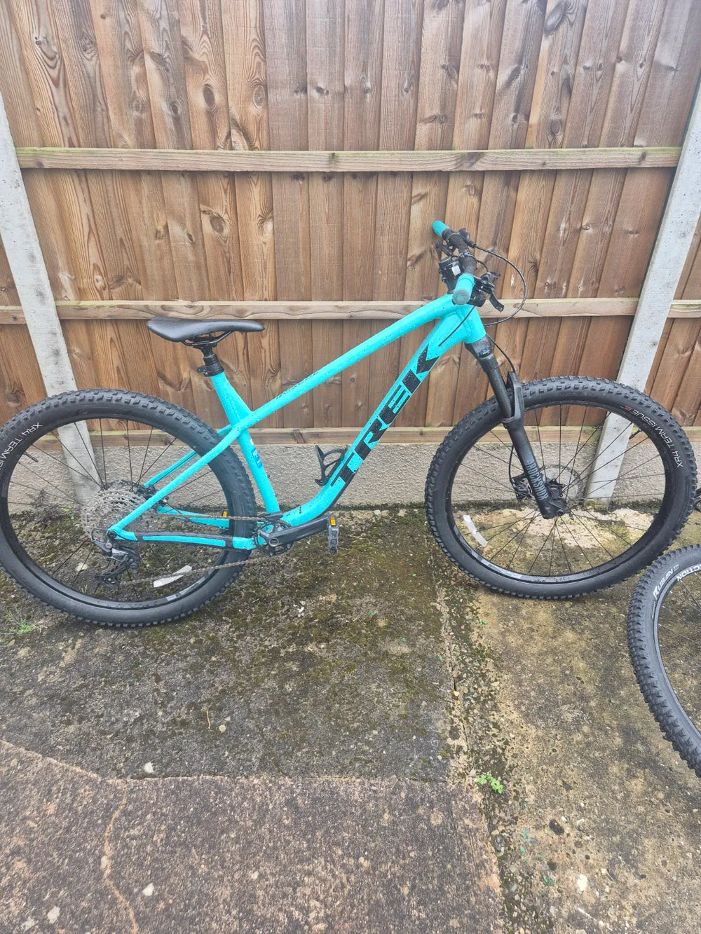 Trek Roscoe 7 2025