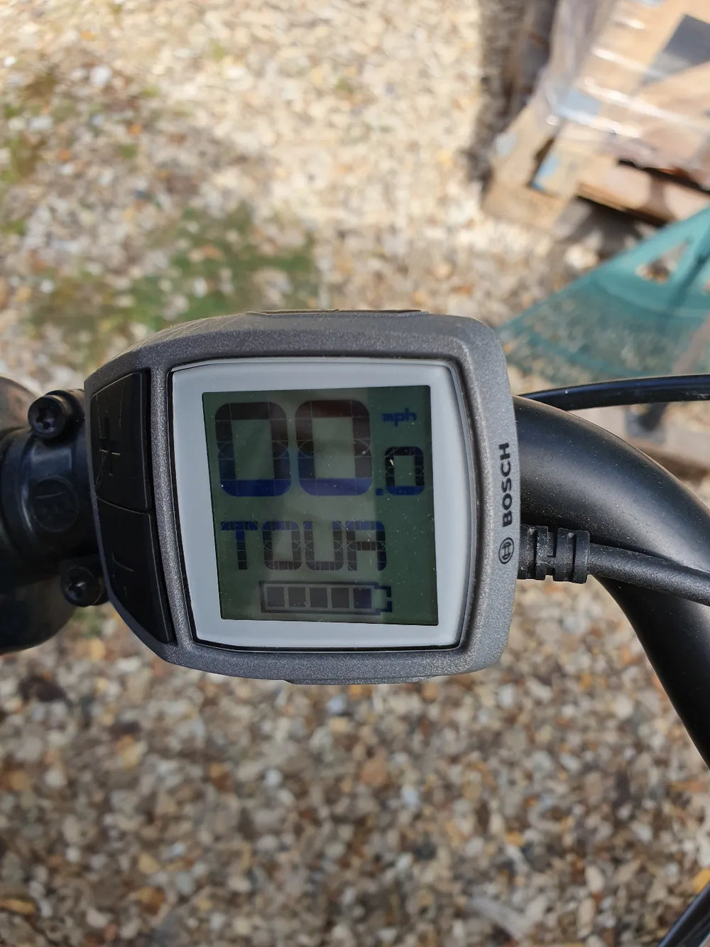 Gazelle Vento C7 2019