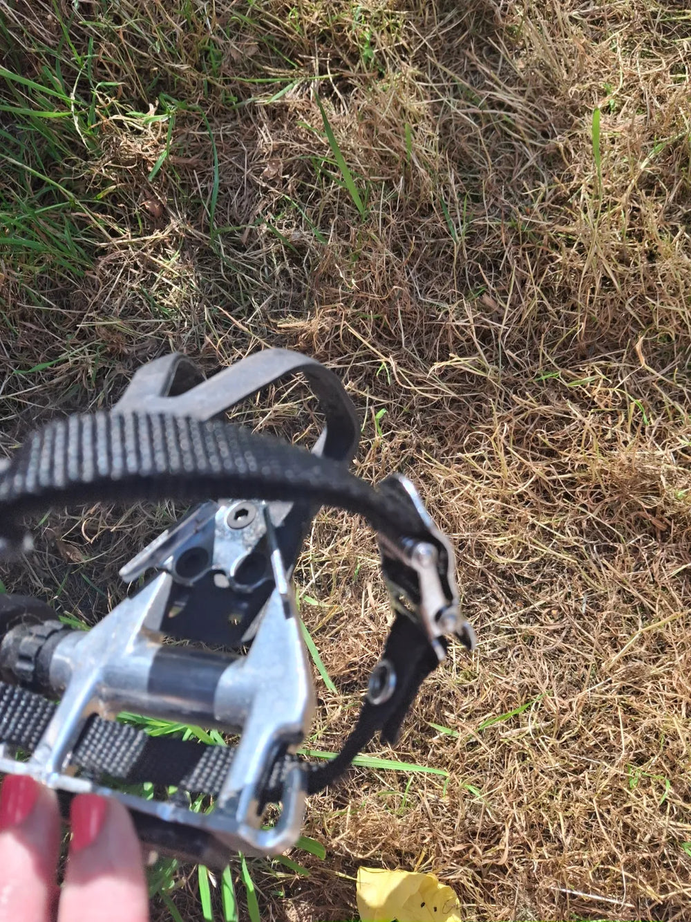 Vitus Razor W 2022