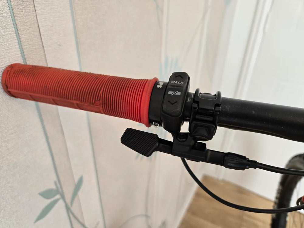 Canyon Spectral:ONfly CF LTD 2024