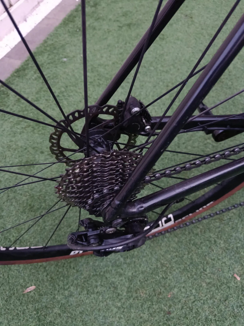 Giant Contend 1 2020 2021