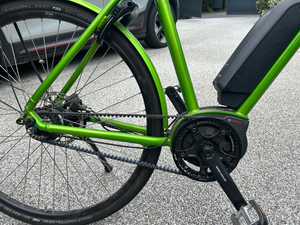 Riese and Muller Roadster Touring 2020