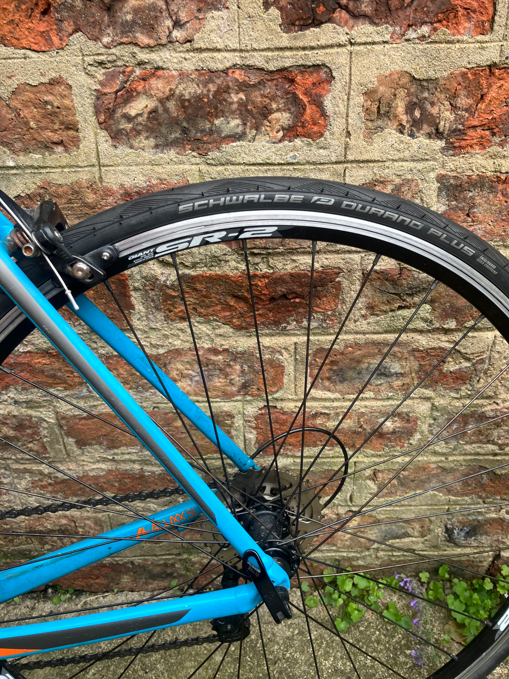 Giant Contend Sl 2 2018