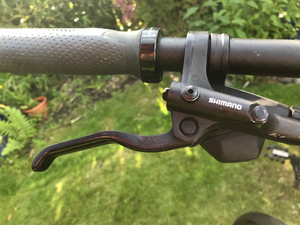 Cannondale Tesoro Neo SL EQ Remixte 2021