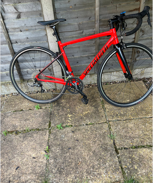 Specialized Alias 2016