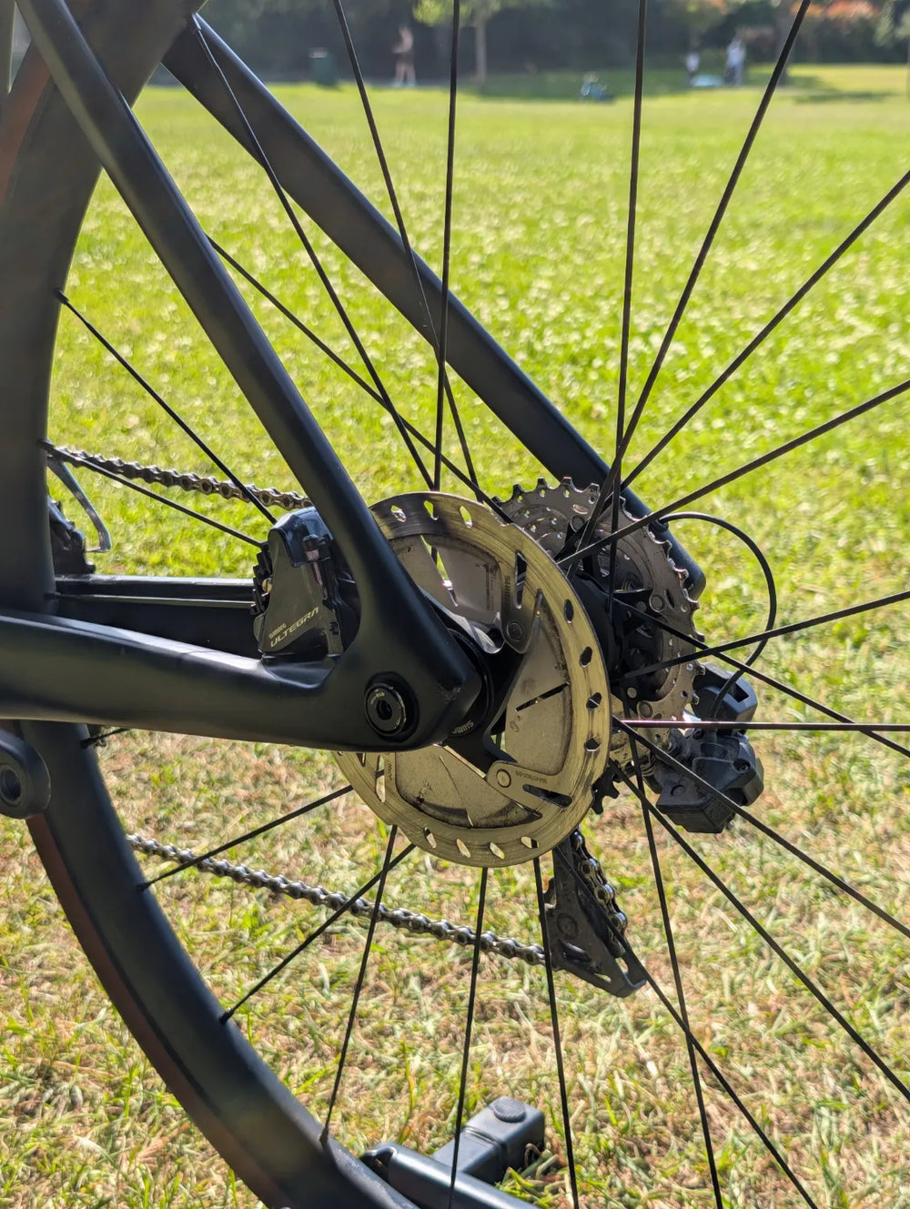 Vitus ZX-1 Evo Ultegra Di2 2023