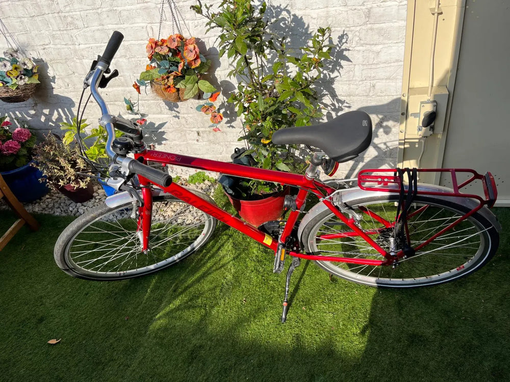 Raleigh Pioneer 2 2015