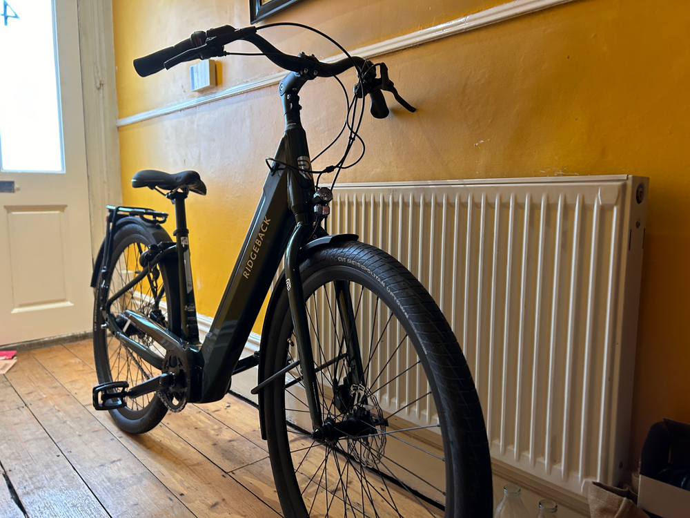 Ridgeback Electron INT 2024