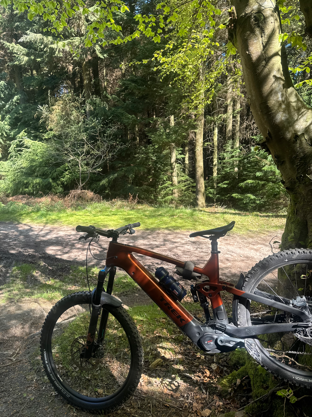 Trek Rail+ 9.8 GX AXS T-Type Gen 5 Electric 2026Sale