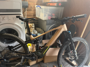 Orbea Wild H10 2024
