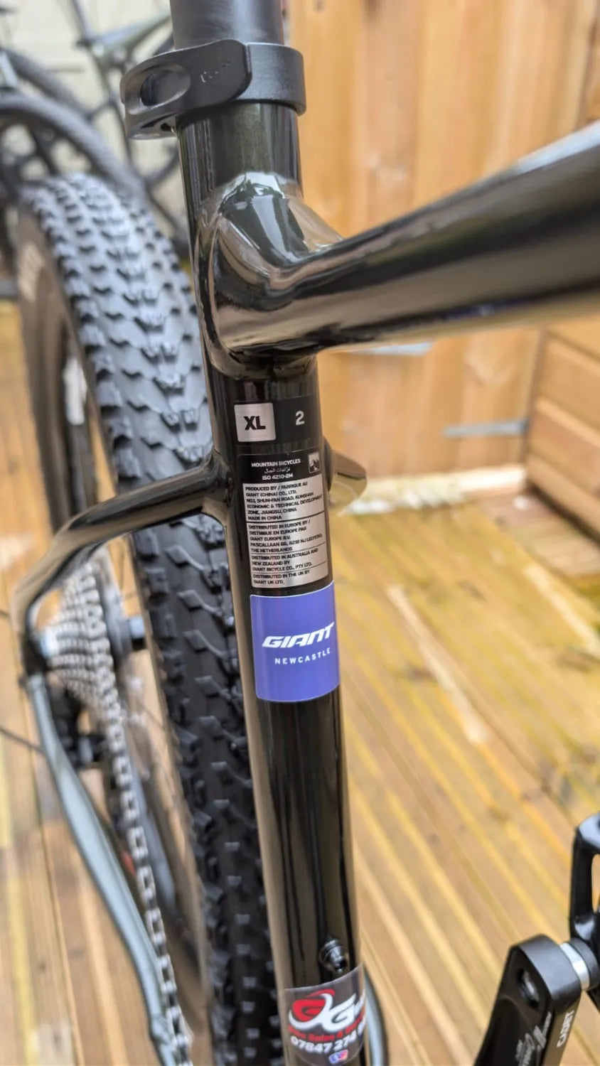 Giant Fathom 2 2024