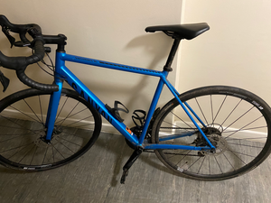 Canyon Endurace AL 6.0 2020