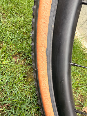 Giant Revolt Advanced 2 2025