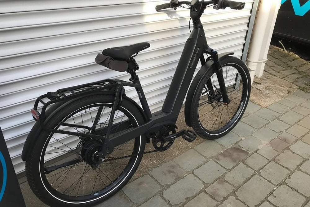 Riese & Muller Nevo4 GT Vario
