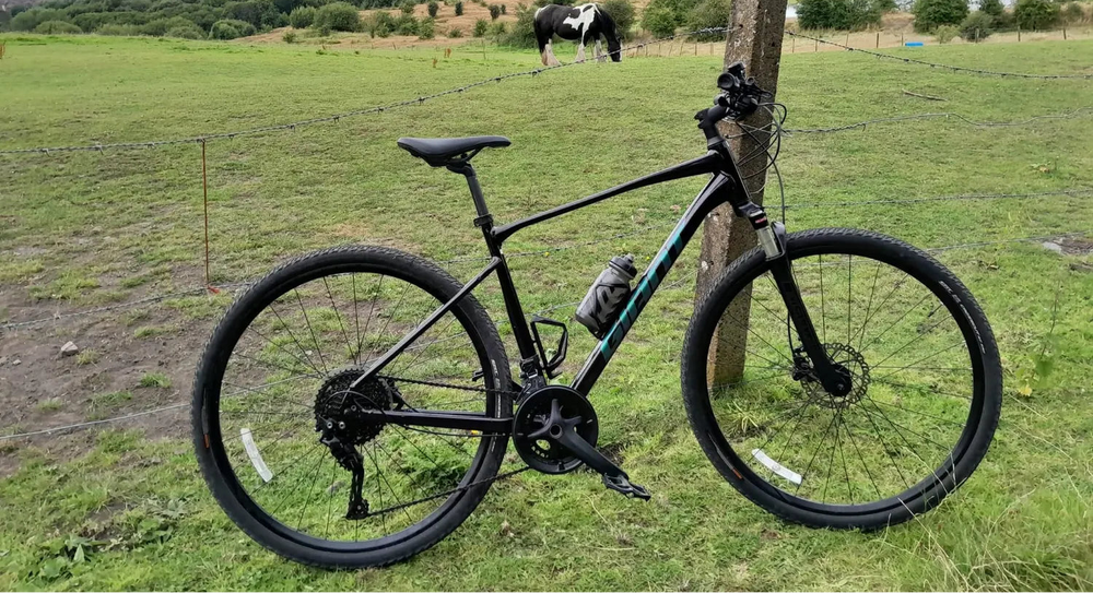 Giant Roam 0 Disc 2021