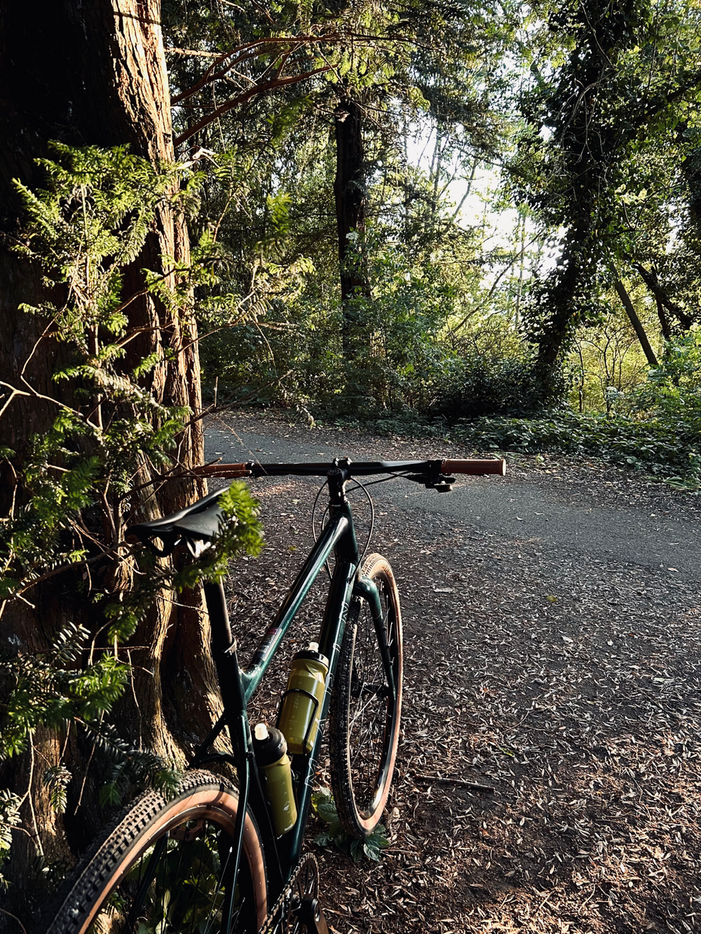 Marin DSX 1 Flat Bar 2026