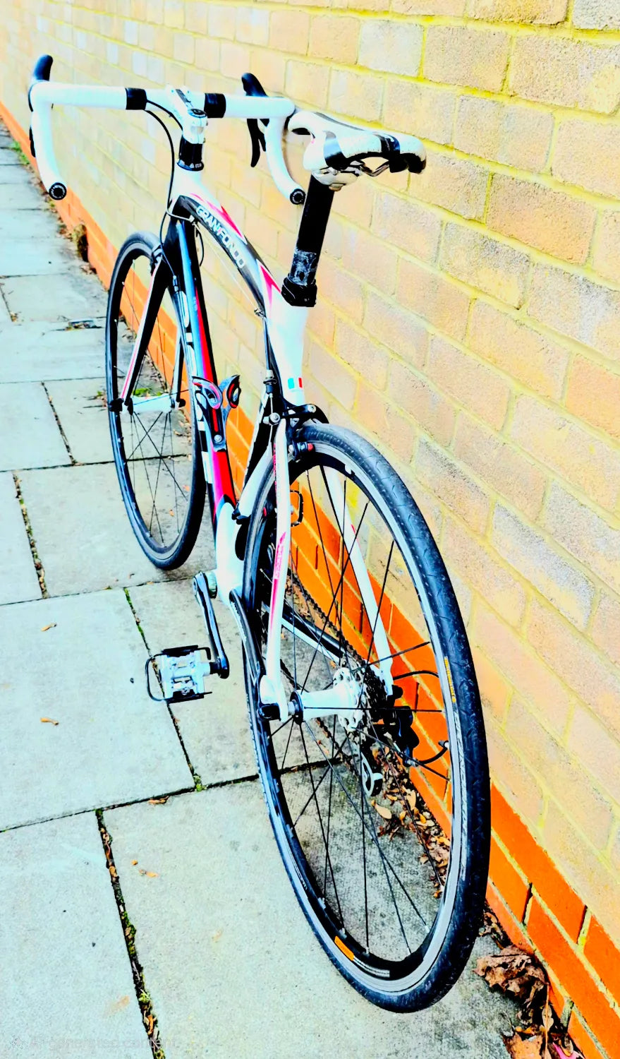 RIBBLE GRAN FONDO CAMPONOLO VELOCE GROUPSET FULL CARBON ROAD BIKE 56CM"22 LG FRAME RIBBLE DEABACCIAI GRAN FONDO FULL CARBON ROAD BIKE 56CM inches22 FRAME  2017