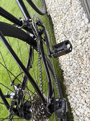 Marin Nicasio 1 Road 2024