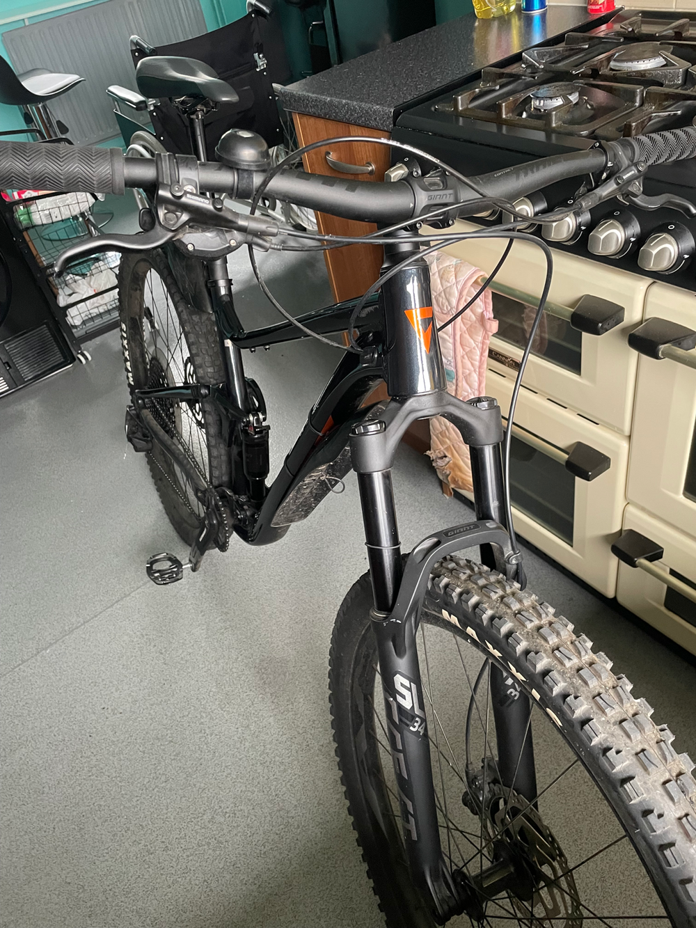 Giant Stance 29 1 2024