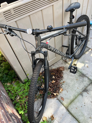 Specialized Rockhopper Expert 29 2025