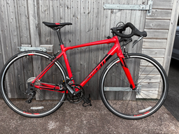 Giant Contend 2 2021