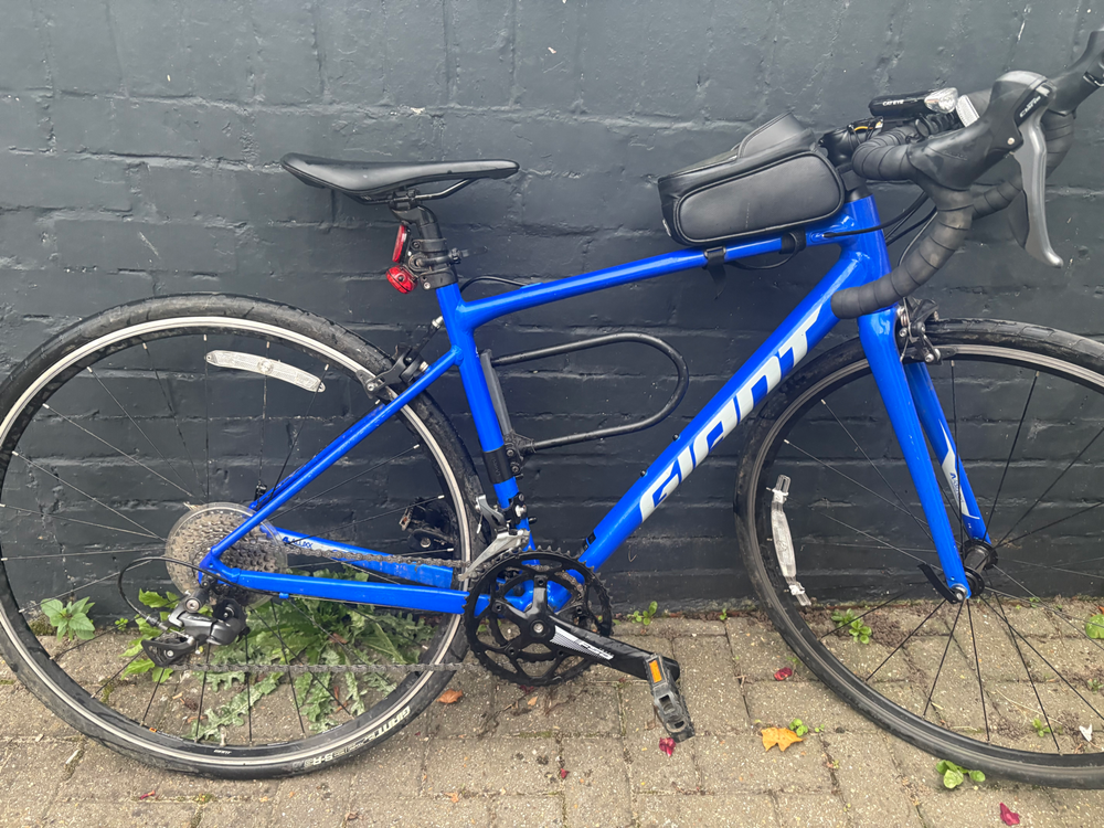 Giant Contend 2 2024