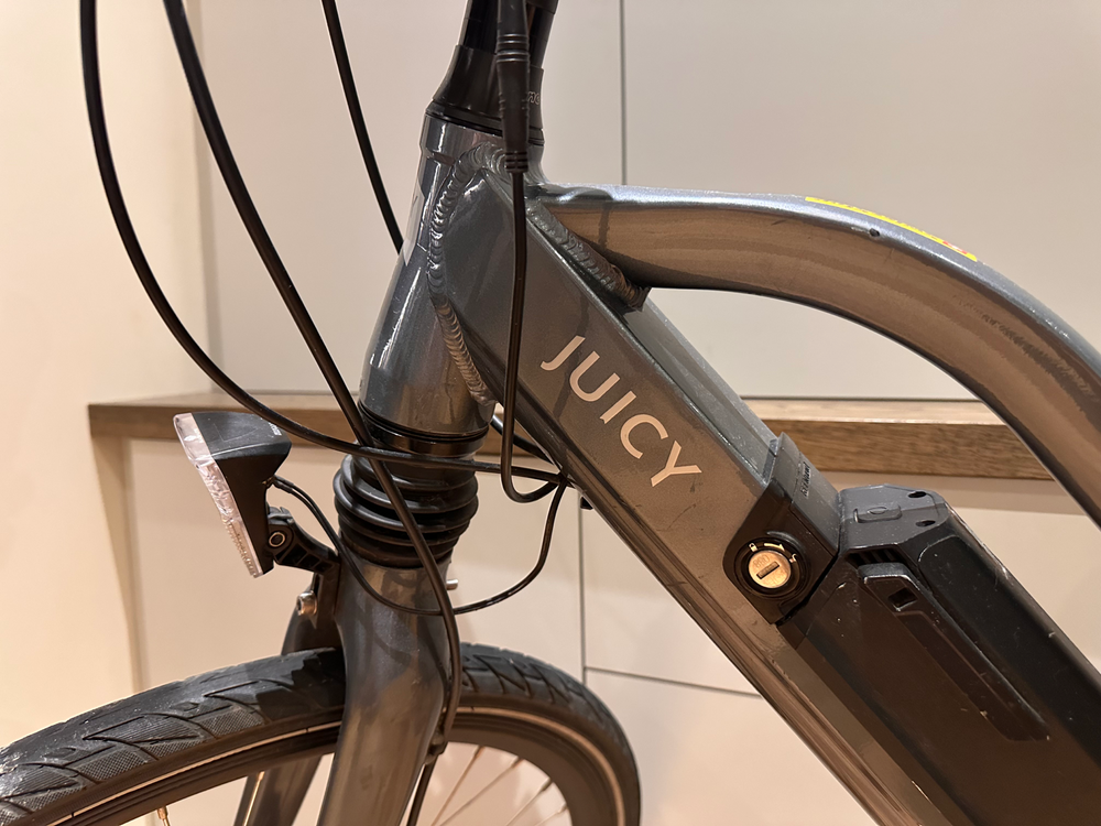 Juicy Bike Roller e-Bike 2018