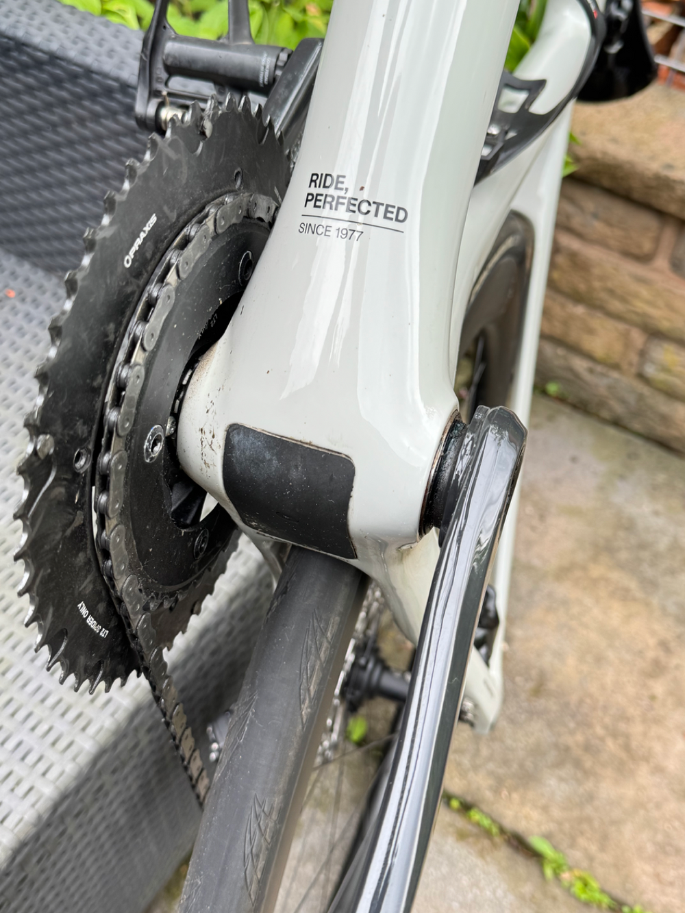 Basso Venta 2024