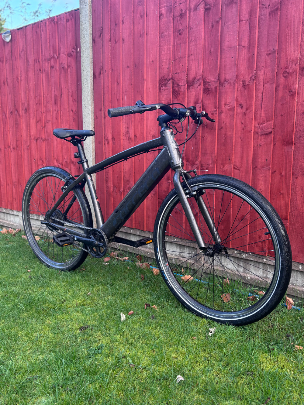 Carrera impel im 2024
