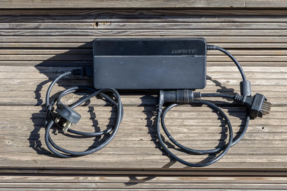 Giant Anytour E+ 2 2021