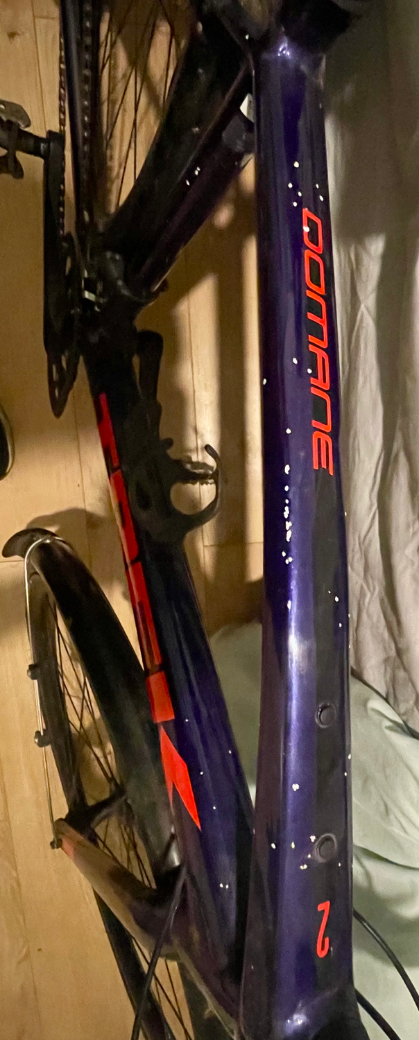 Trek Domane AL 2 2021
