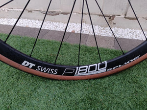 Giant Contend 1 2020 2021