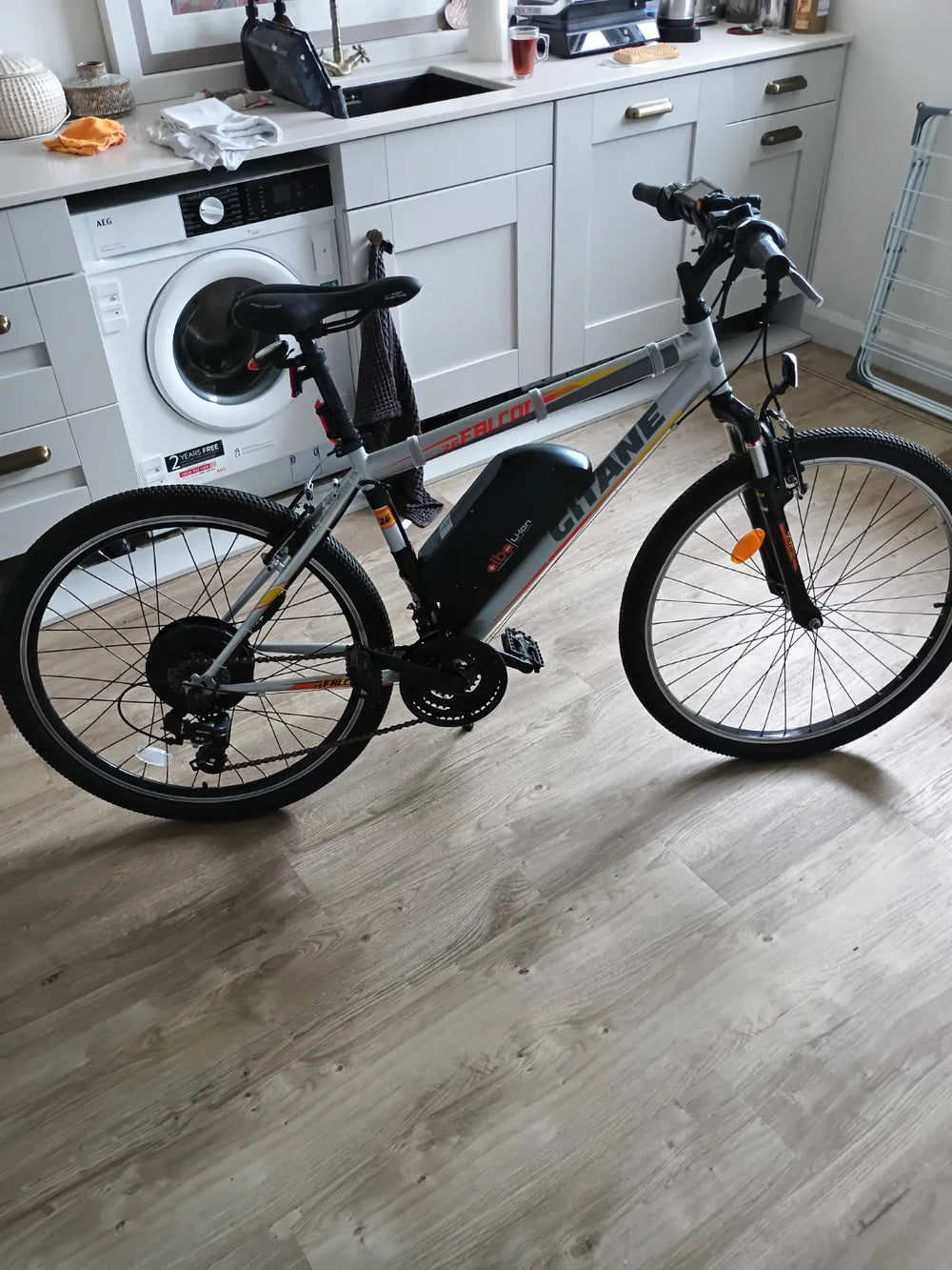 Gitane Falcon  2022