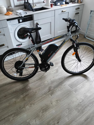 Gitane Falcon  2022