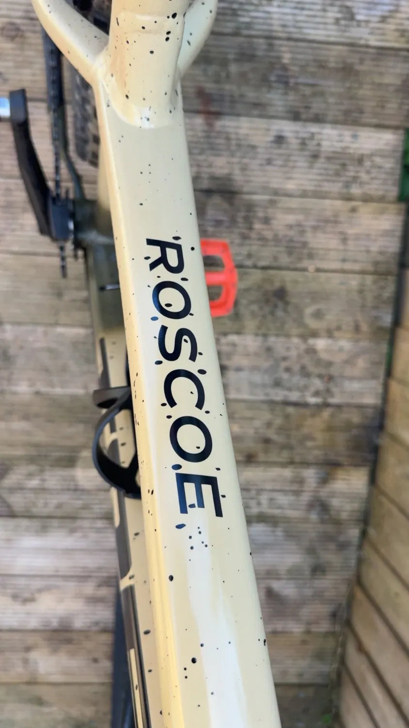 Trek Roscoe 9 2023